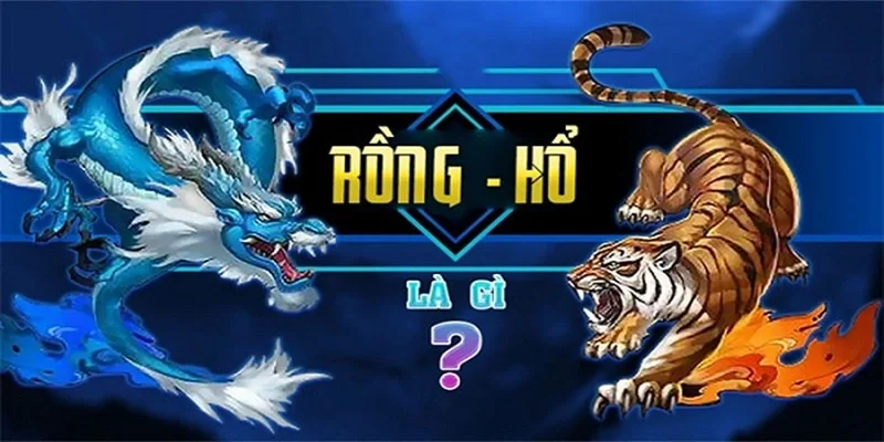 rồng hổ Trum88